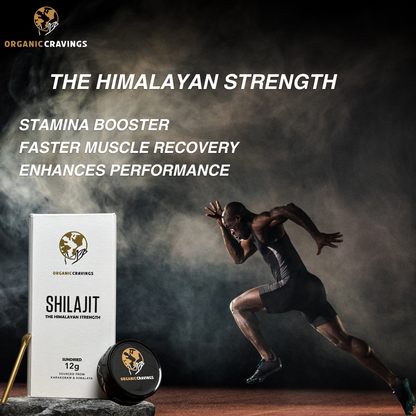 Himalayan Shilajit  | Budget Pack