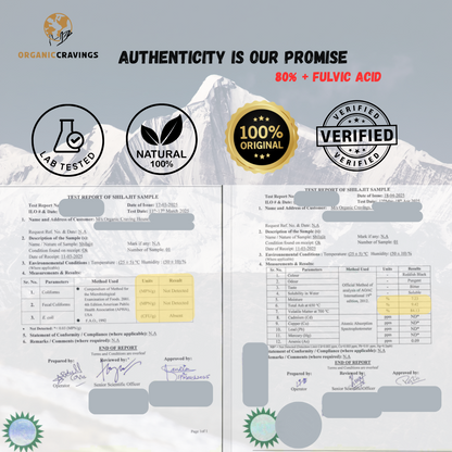 Himalayan Shilajit  | Budget Pack